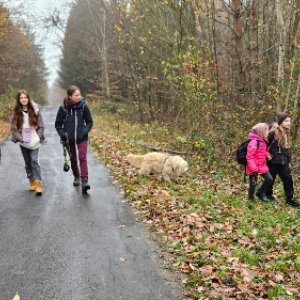 Čištění studánek