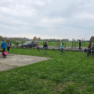 20241026_111042.jpg