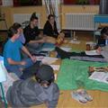 Foto: Paja